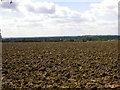 Freshly Ploughed Field