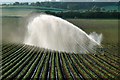 SX9699 : Irrigating fields SW of Killerton Estate (NT) by john spivey