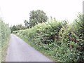 Skittle Green lane, near Bledlow