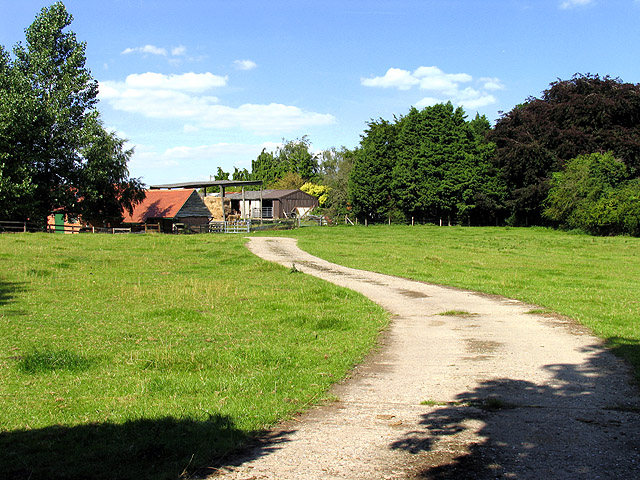 Farmland near Curridge: Lanolee Farm