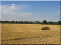 SP3673 : Harvesting near Bubbenhall by David Stowell
