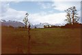 Grey Corries from Insh