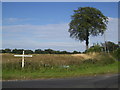 Signpost at Grotto Lane