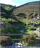 NO2883 : Allt an Dearg - Mountain stream feeding Loch Muick by Pete Chapman