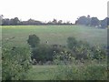 Piebald horse in the countryside from Lieut Ellis Way