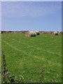 Hay bales near Kerrowe