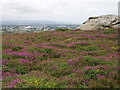 Carn Brea