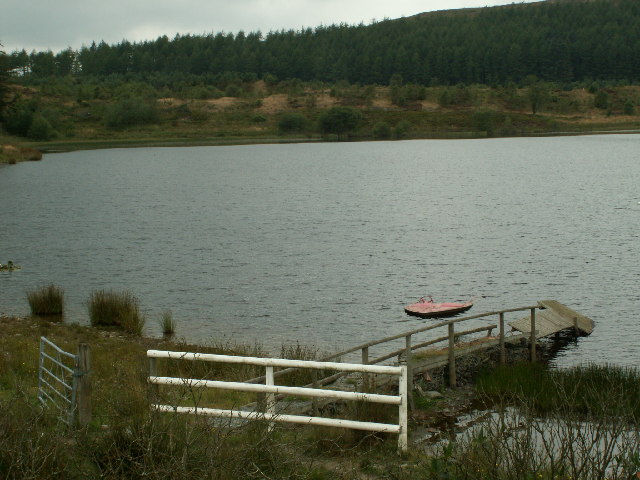 Llywernog Pond (detail)