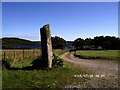 Standing Stone in grounds of Achaban House, Fionnphort, with Loch Poit na h-I (Loch Pottie) in background.