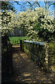 Bridge over River Anker, south of Caldecote