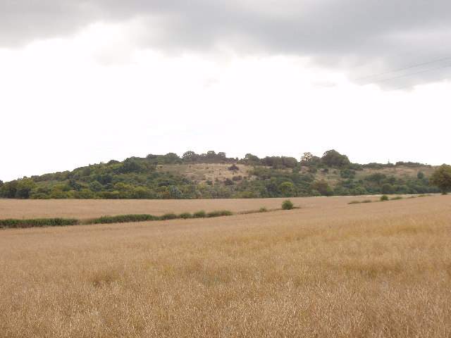 Corn fields near Saunderton, and Lodge Hill