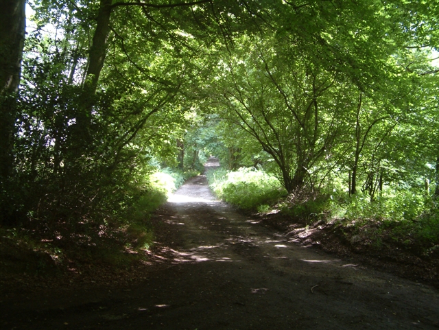 The  Road to Neal's Farm