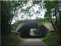 TL1006 : Bridge over Beechtree Lane by Jack Hill