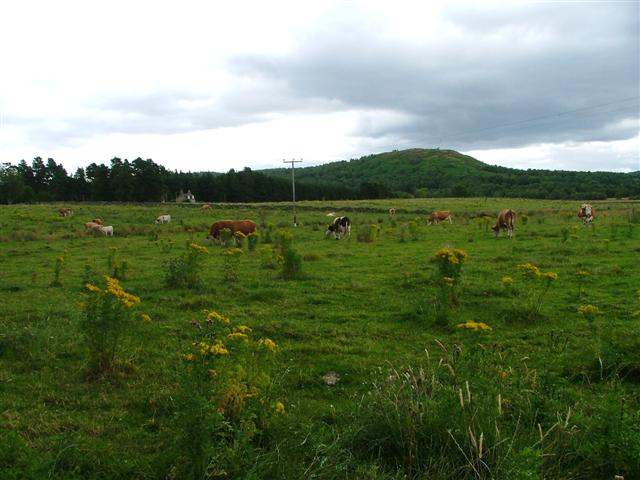 View of Pasture Towards Mulloch