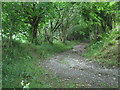 Bridleway near Brynhinlle Rhydlewis