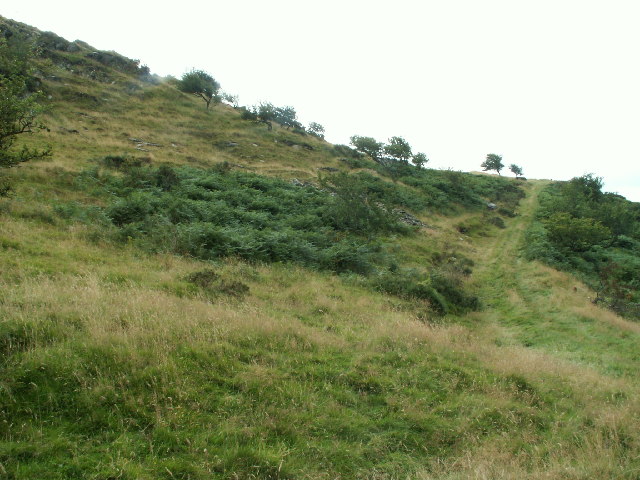 Hillside trackway, Disgwylfa