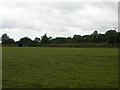 Field adjacent to the A31