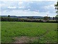 Farmland at Crab Farm