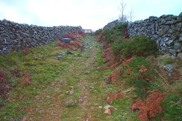 Trackway leading up to the moor