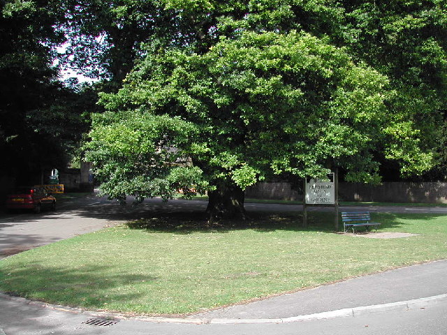 Pilgrim Oak and entrance to Newstead Abbey, Ravenshead