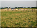 Fields near Buckminster