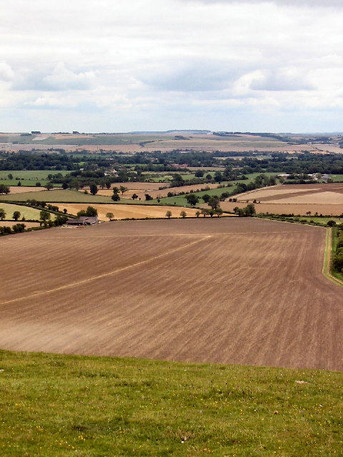 View South, Knap Hill, Pewsey Downs