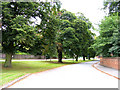 Eastoft - looking north along High Street