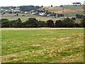 Cottingley Moor and North Bank Road