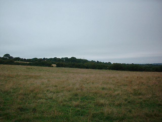 Pasture land