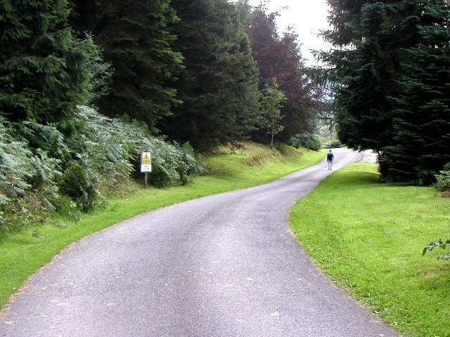 The Levisham to Stape Forest Drive