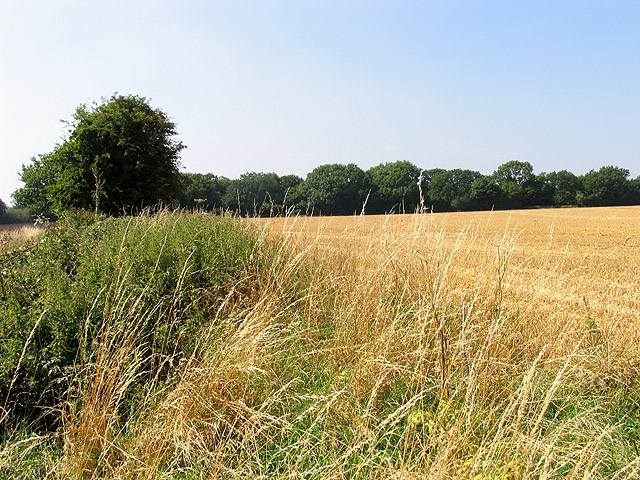 Farmland near Stanmore