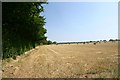 Fields alongside the A14