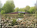 Ridgeacre Branch Canal