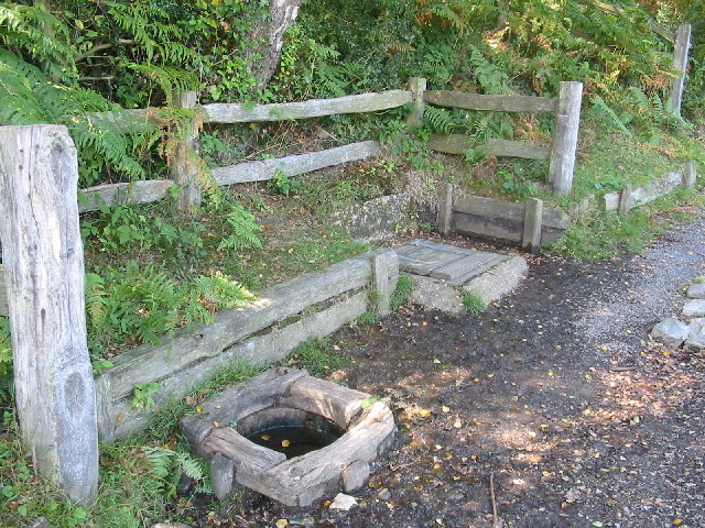 Abbots Well near Frogham in the New Forest