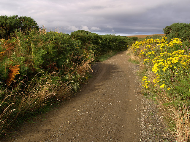 Lhergycolvine Road.  Isle of Man.