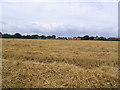 Cornfield Oulton Leeds