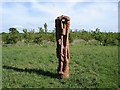 Wood sculpture in Grappenhall Wood