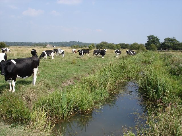 Amberley Wild Brooks