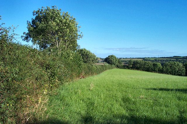 Fields near Curtisknowle