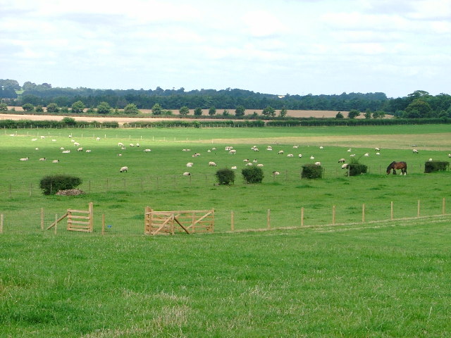 Pasture Land, Low Farm