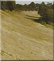 Banked curve of the Brooklands Motor Racing Circuit.