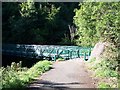 Footbridge in Devol Glen