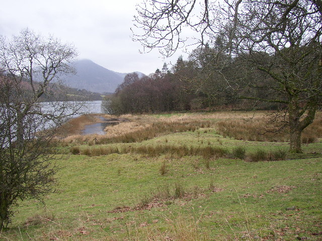 Boggy field and Holme Wood, Loweswater