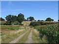 Footpath to Packwood Towers