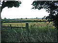 Fields next to School Lane, Buckminster