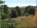 Valley of Bramhope Beck