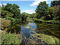 River Wandle, by The Watermeads (NT)