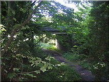 SP2576 : Waste Lane Bridge by David Stowell
