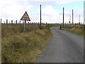 SN7668 : Cattle Grid and Cattle grid warning sign by Angella Streluk