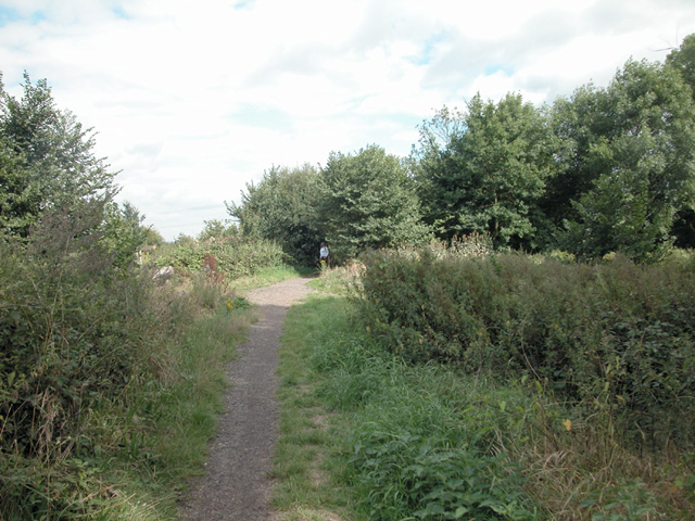 Nature reserve footpath